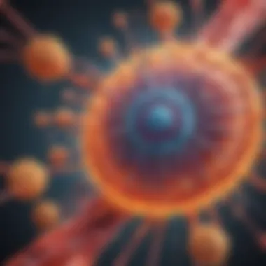 Immunological Impact of Chronic Stress Visual depiction of the immune system's response to prolonged stress