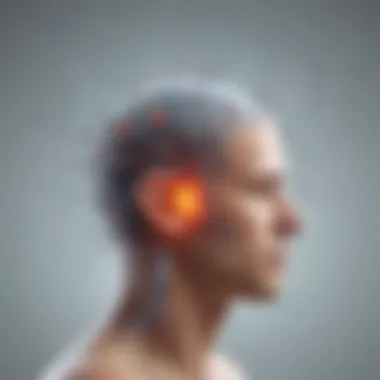 Impact of Stress on Immunity Immune System Vulnerability to Stress