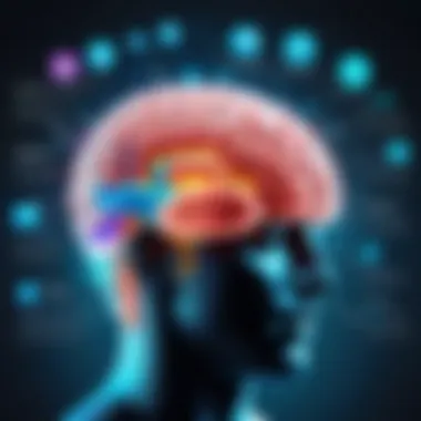 Implications of Brain Functionality in Education and Mental Health Infographic displaying implications of brain functionality in education and mental health