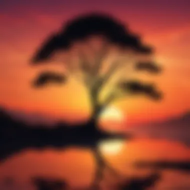 Solitude's Serenity Silhouette of a lone tree against a vibrant sunset