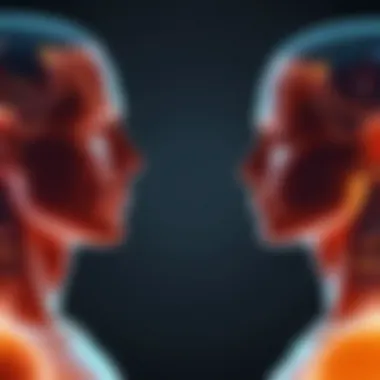 Understanding Body Language An abstract representation of body language cues during a conversation.