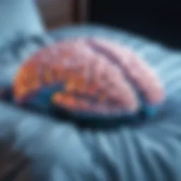 Conceptual illustration of the brain during sleep learning
