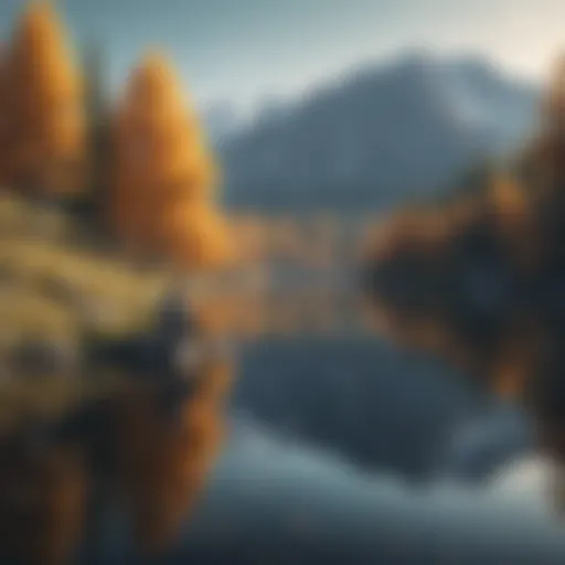 A person sitting in contemplation by a serene lake