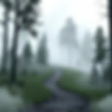 Winding Path Through Fog A serene landscape depicting a winding path leading through a foggy forest, symbolizing the journey through uncertainty.
