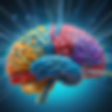 Unveiling Neuroplasticity in Brain Connectivity Neuroplasticity and Brain Connections