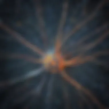Mapping the Intricacies of Brain Connectivity Neural Network Visualization