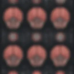 Illustration depicting brain scans highlighting neurological differences in psychopathy and sociopathy