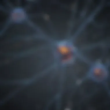 Neuronal Synapse Communication Network