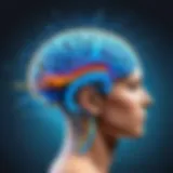 Enhancing Memory: Neuroplasticity Training