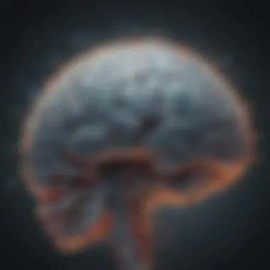 Unveiling the Intricacies of Neural Networks Neuroscientific Visualization