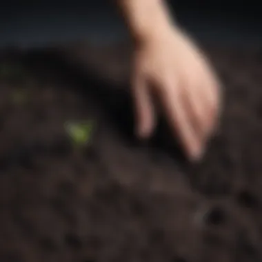 Illustration of a person planting seeds of hope in a dark soil