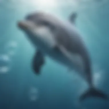 Joyful Encounters Playful Dolphin Interacting with Bubbles