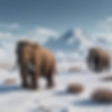 Ice Age Woolly Mammoths in Their Natural Habitat Prehistoric Tundra Landscape with Woolly Mammoths Roaming