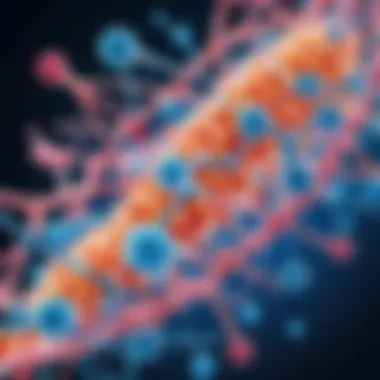 Protein Structures and Cancer Detailed analysis of protein structures in cancer research