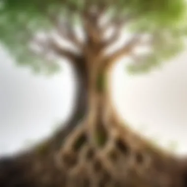 Rooted Resilience Rooted Resilience in Diversity