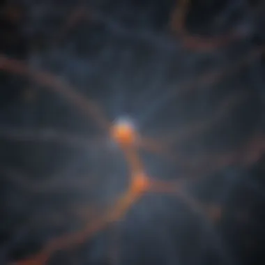 Intricate network of neural connections symbolizing the complexity of schizophrenia