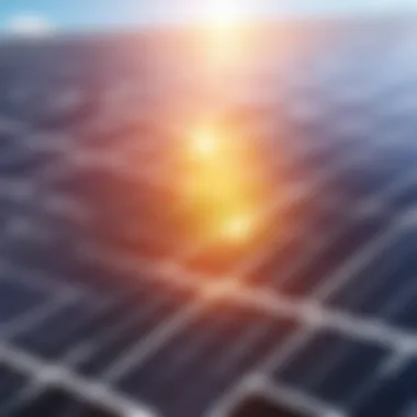 Harnessing Sunlight: The Role of Solar Panels Solar panels absorbing sunlight