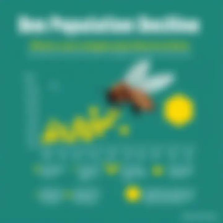 Infographic on Bee Population Decline An infographic showcasing the decline of bee populations over time