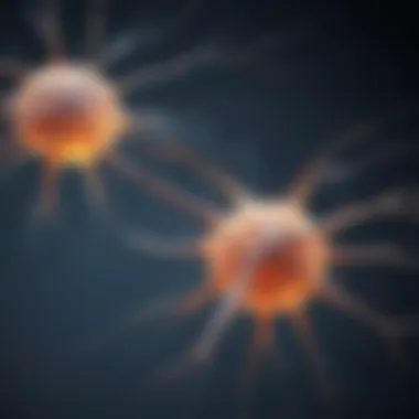 Decoding the Language of Brain Cells Synaptic Transmission Model