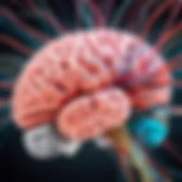 Neural pathways affected by stress