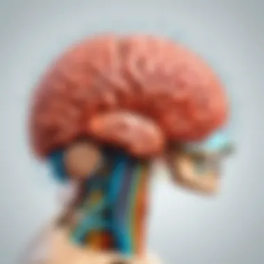 Understanding Stress and the Brain Conceptual illustration of stress and its effects on the brain
