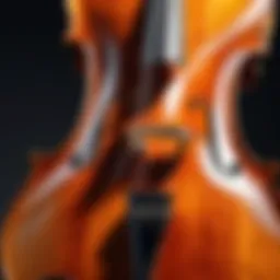 Close-up of a cello showcasing its rich wood grain and intricate design