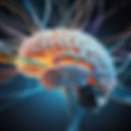 A representation of the brain illustrating neural connections and pathways.