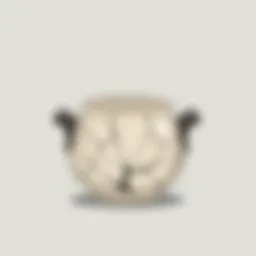 A cracked pot symbolizing the beauty of imperfection