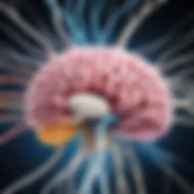 Understanding the Gut-Brain Axis Illustration of the gut-brain axis showing intricate connections