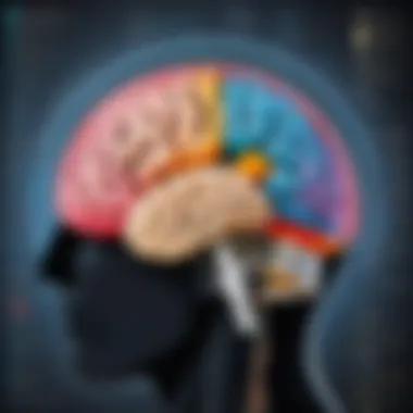 Brain regions involved in musical perception