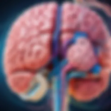 The Gut-Brain Axis Illustration of the gut-brain axis demonstrating communication between the gut and brain.