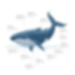 The Sound of a Whale: An In-Depth Exploration Introduction