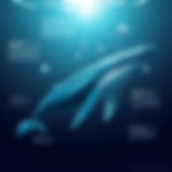 The Sound of a Whale: An In-Depth Exploration Summary