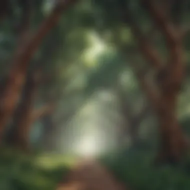Majestic Canopy Majestic Canopy: Enveloped in Nature's Splendor
