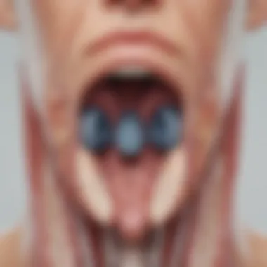 Thyroid Gland Cross-Section Anatomy Thyroid gland cross-section anatomy