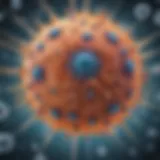 Microscopic view of common cold virus attacking cells