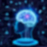 Understanding the Brain's Response During a Migraine Introduction