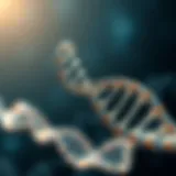 The Fundamental Architecture of DNA DNA double helix structure illustrating genetic information