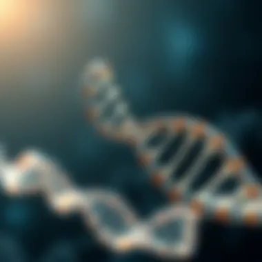 The Fundamental Architecture of DNA DNA double helix structure illustrating genetic information