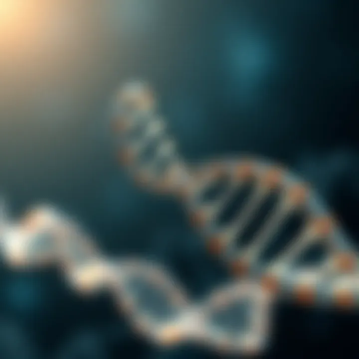 The Fundamental Architecture of DNA DNA double helix structure illustrating genetic information