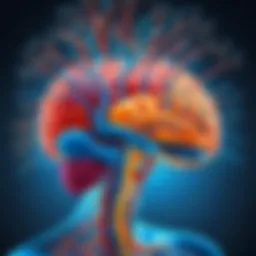Illustration depicting the neurological pathways affected by alcohol consumption
