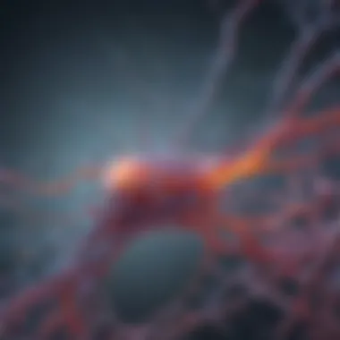 Molecular pathways of neurogenesis