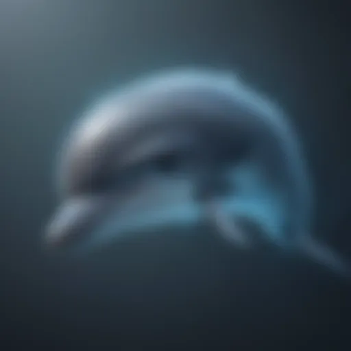 Dolphin Echolocation Communication