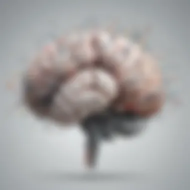 Unraveling Brain Plasticity Mechanisms Brain Plasticity Mechanisms