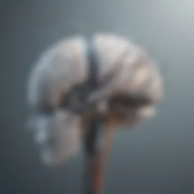 Neural Elegance Neural Elegance