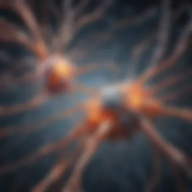 Synaptic Harmony Synaptic Harmony