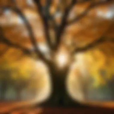 Radiant Connections Sunlight filtering through dense tree branches