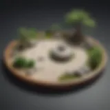 Zen Garden Meditation